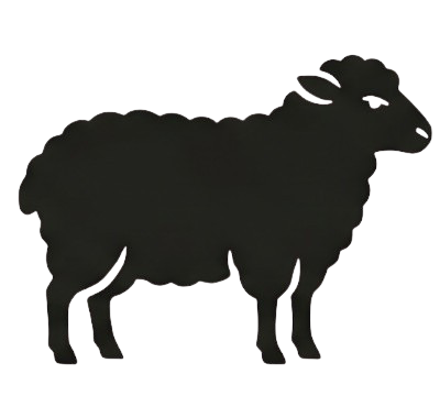 Koordinuota Avis